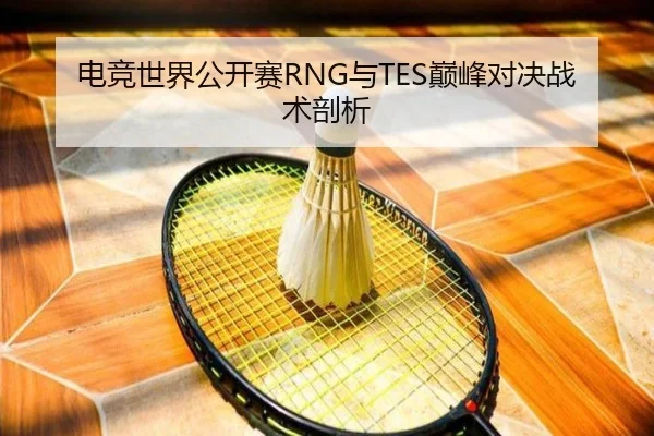 电竞世界公开赛RNG与TES巅峰对决战术剖析